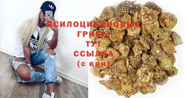 амф Алексеевка