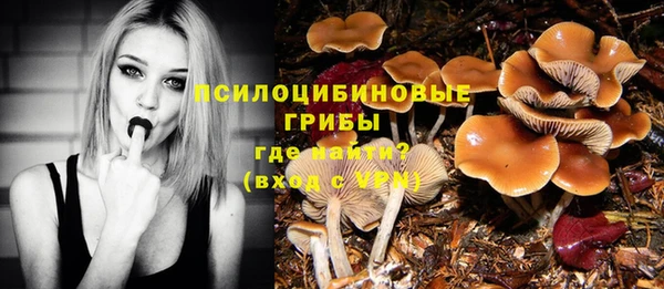 амф Алексеевка