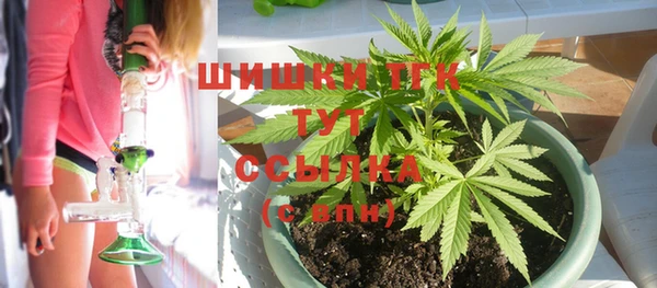 СК Алзамай