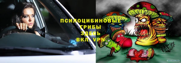 СК Алзамай