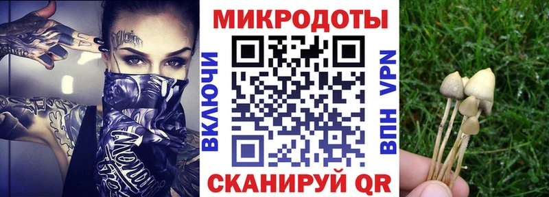 Галлюциногенные грибы ЛСД  Грязи 